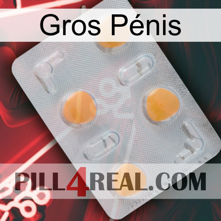 Gros Pénis 24